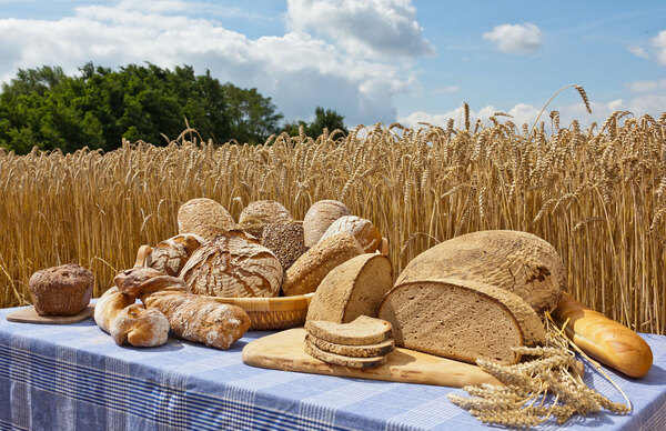 Kohlenhydrate im Brot